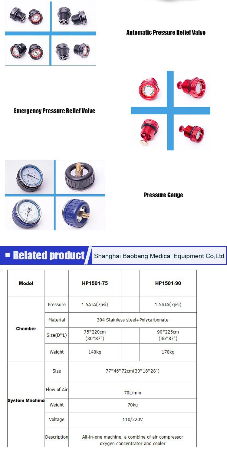 Oxygen Therapy Equipment for Hyperbaric Oxygen Concentrators for Healthcare